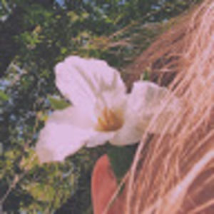 Meet your Posher, Lotus